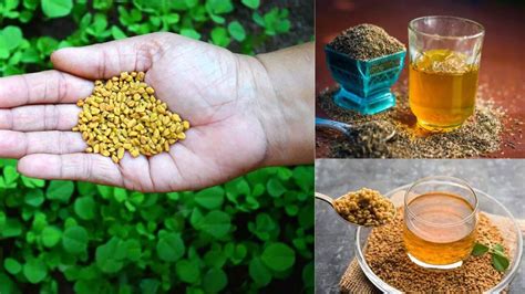 Fenugreek water benefits : வெந்தய நீர் குடிப்பதால் கிடைக்கும் நன்மைகள் ...