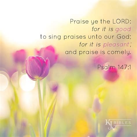Psalm 147:1 KJV - Praise ye the Lord