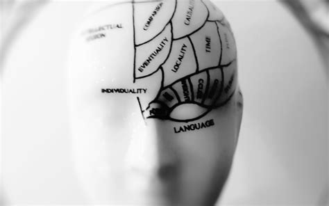 Philosophy 的图像结果