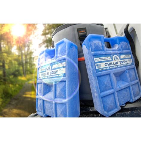 Arctic Ice Chillin' Brew Reusable Freezer 5-lb Blue Liquid Ice Pack at ...