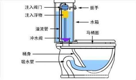 马桶结构图？_百度知道