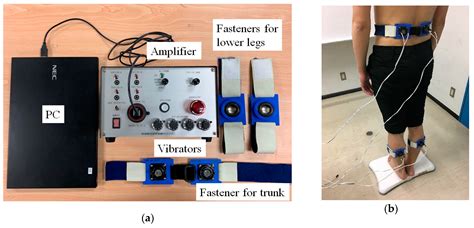 Investigation of the Functional Decline in Proprioceptors for Low Back ...