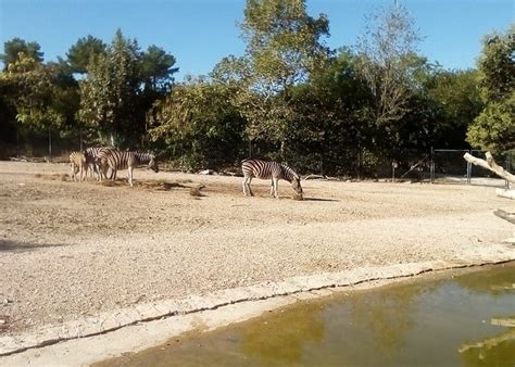 Falconara Marittima Tourism (2023): Best of Falconara Marittima, Italy ...