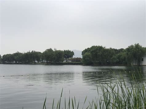 太湖无锡水域 水质升至Ⅲ类