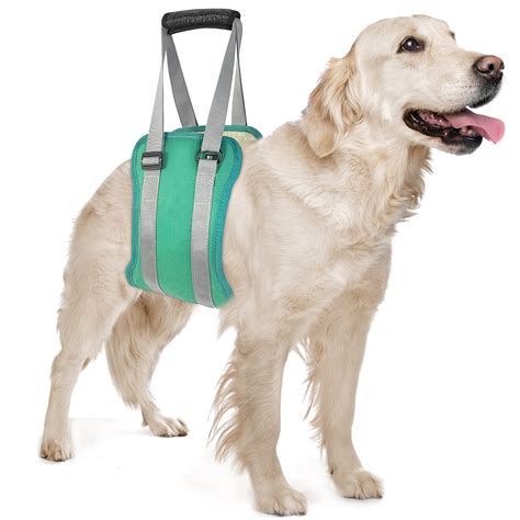Buy HeNdShe Dog Sling for Large Dogs Hind Leg Support Dog Lift Harness ...