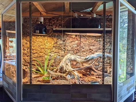 50 Best Bearded Dragon Enclosure Ideas - ThePetEnthusiast