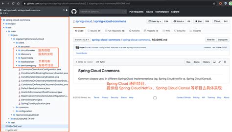 Image result for Java Spring Cloud Source Code