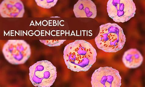 Karnataka issues guidelines for Sabarimala Pilgrims amid brain-eating ...