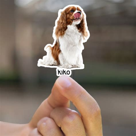 Image result for Custom Labels Online