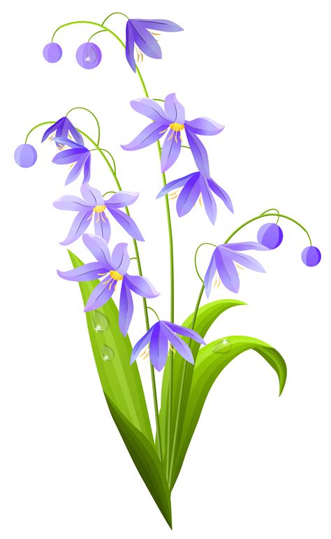 Flower Spring Clip art - spring png download - 4826*7855 - Free ...