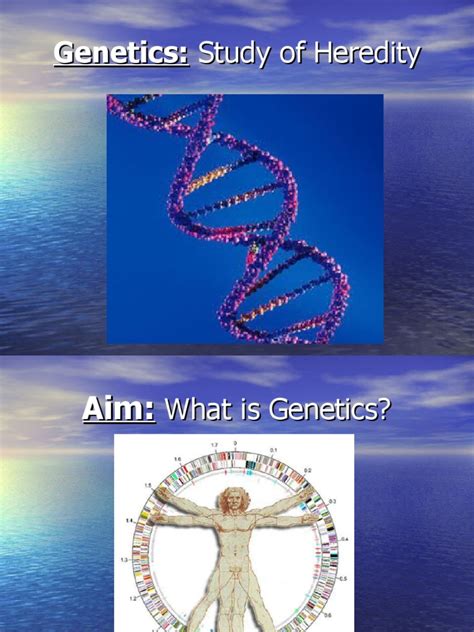 Genetics Basics 的图像结果