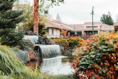 Healthcare | Rockwood South Hill