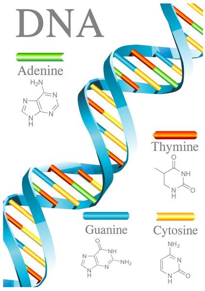 Image result for DNA Microarray Data