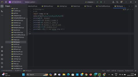 Slicing Arrays Python 的图像结果
