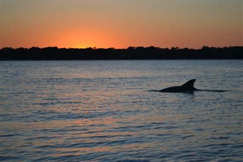 BEACHSIDE TENNIS RESORT (Hilton Head) - Apartment Reviews, Photos, Rate ...