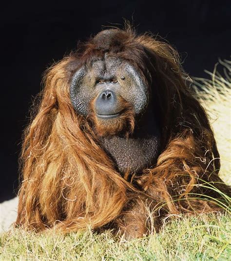 Interesting Things 的图像结果