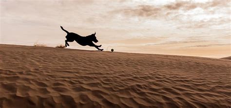 Image result for Catching Exceptions Java