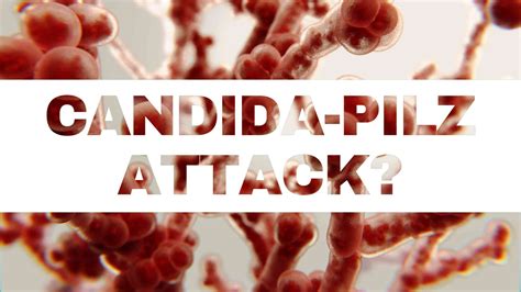 Was ist Candida? Alles, was Du über den fiesen Pilz wissen musst!