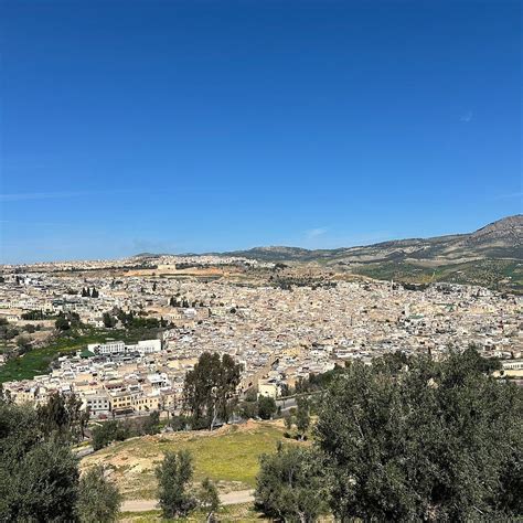 OMEGA TOUR - All You Need to Know BEFORE You Go 2026 (with Photos ...