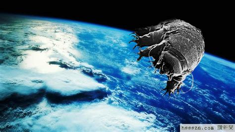 第1回 長沼毅 謎の深海生物にさぐる宇宙生命の可能性（前編） | ナショナル ジオグラフィック日本版サイト