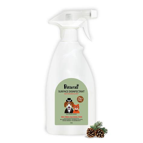 Does Lysol Spray Kill Dog Fleas at Blanche Carter blog