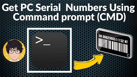 Image result for Serial Number On Computer Monitor