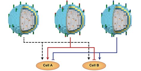 Building Blocks to Design Liposomal Delivery Systems