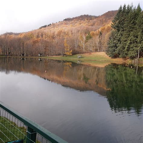 RISERVA DI PRATO A LAGO (2025) All You Need to Know BEFORE You Go (with ...