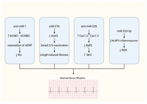 MicroRNAs in Atrial Fibrillation: Mechanisms, Vascular Implications ...