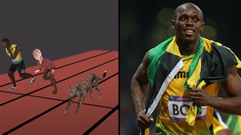 Cheetah Vs Usain Bolt