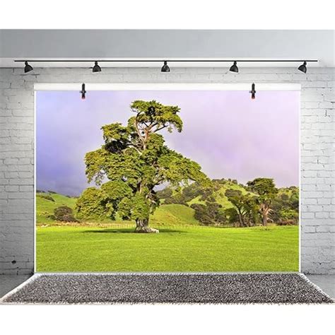 Buy Leyiyi Safari African Grassland Backdrop Mountain Hunting 7x5ft ...