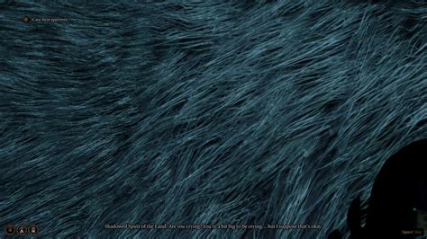 amusing glitch upon leaving combit with halsin in bearmode : r/BaldursGate3