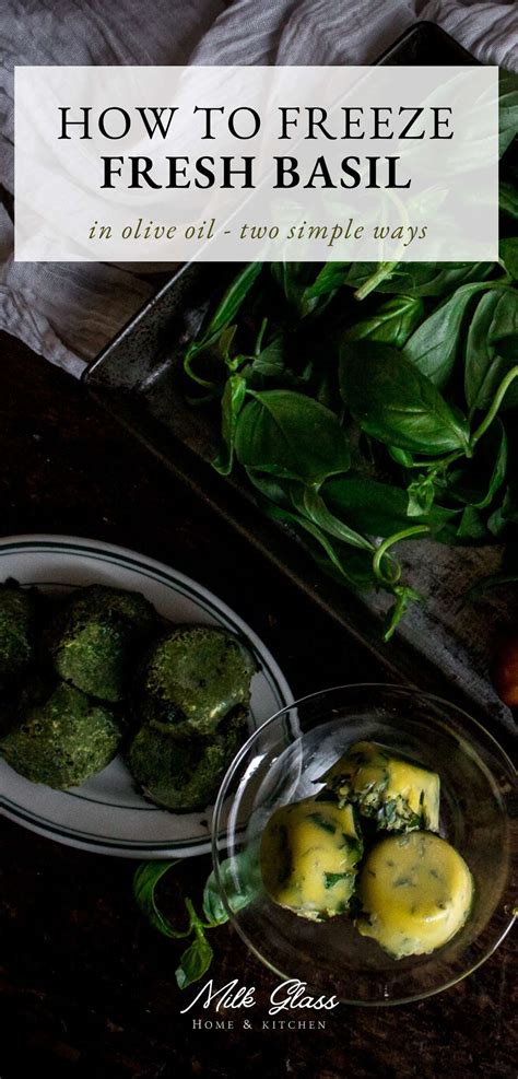 How to Freeze Basil in Olive Oil {Two Easy Methods}
