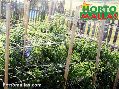 How to Make a Trellis Using Netting 的图像结果