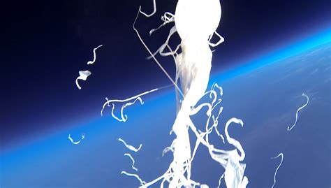 Image result for Alien Flower Concept Art