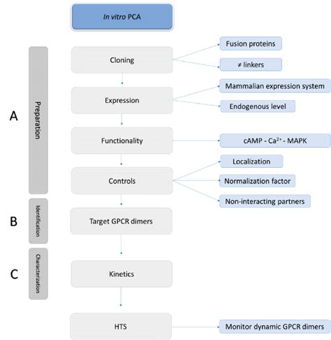 Image result for Setting Up PCA