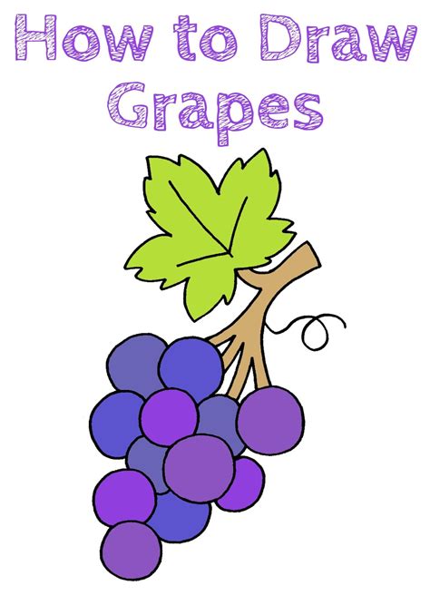 How to Draw an Easy Grapes | Drawing tutorial easy, Drawing quotes ...