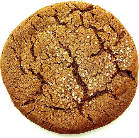 Amazon.com: Archway Archway Iced Molasses Cookies, 12 Ounce : Grocery ...