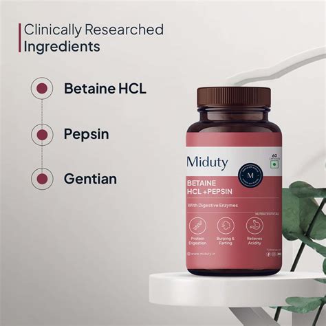 Buy MIDUTY PALAK NOTES BETAINE HCL PEPSIN - BETAINE HYDROCHLORIDE ...
