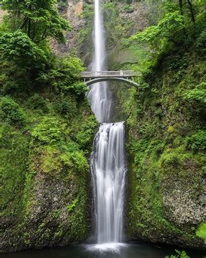 Nelson Funeral Home Fayette, Alabama (AL) | Who Passed On