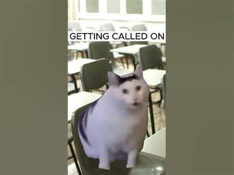 Engineering Student Meme 的图像结果