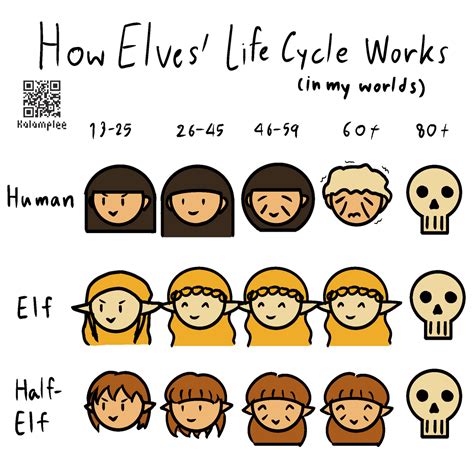 [Edhal] How Elves' Life Cycle Works (in my worlds) : r/worldbuilding