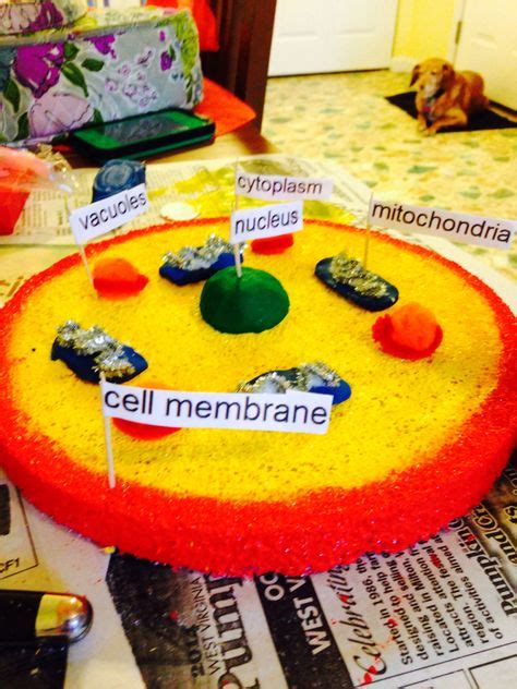 Image result for Science Project 10th Class