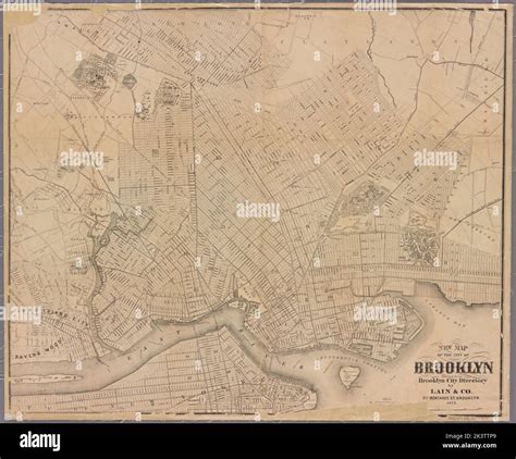 New map of the city of Brooklyn: published for the Brooklyn City ...