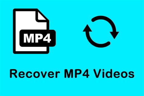 Recover MP4 File 的图像结果