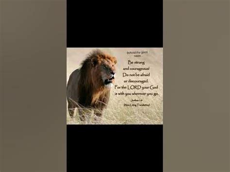 Do not be afraid was mentioned 365 times in the bible and we have 365 ...