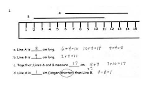 Number Line Grade 5 的图像结果