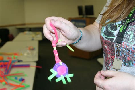 Image result for Pipe Cleaner Neuron Project