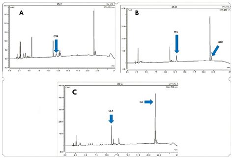 Determination of Phenolic Compounds in Blue Corn Flour (Zea mays L ...