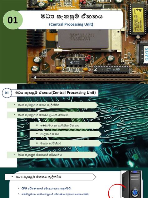 Image result for Class 7 17th Assignment Answer ICT